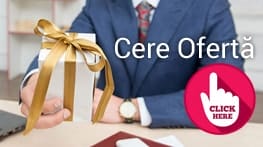Cere Oferta Ghidul Websiteului Productiv